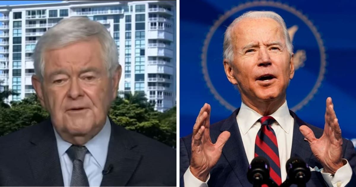 Former House Speaker Newt Gingrich accused President Joe Biden of aligning with people who hate America (Fox News/Getty Images)