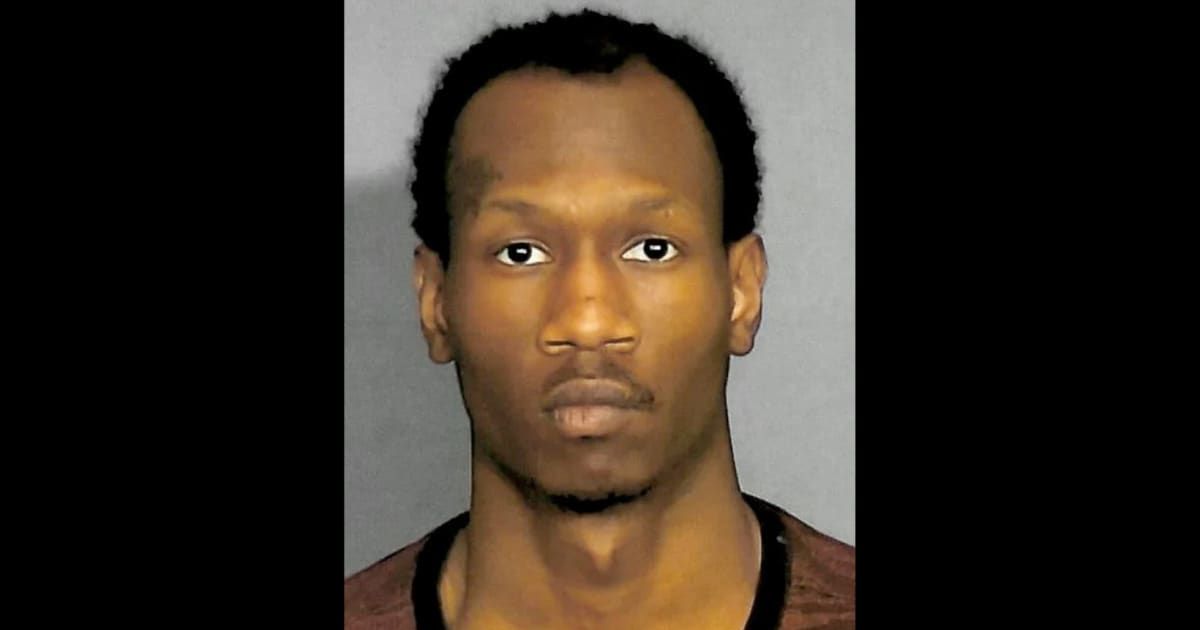 Prosecutors noted that Malik Shaw's cellphone was discovered near the scene of the shooting (Fox News/Screengrab)