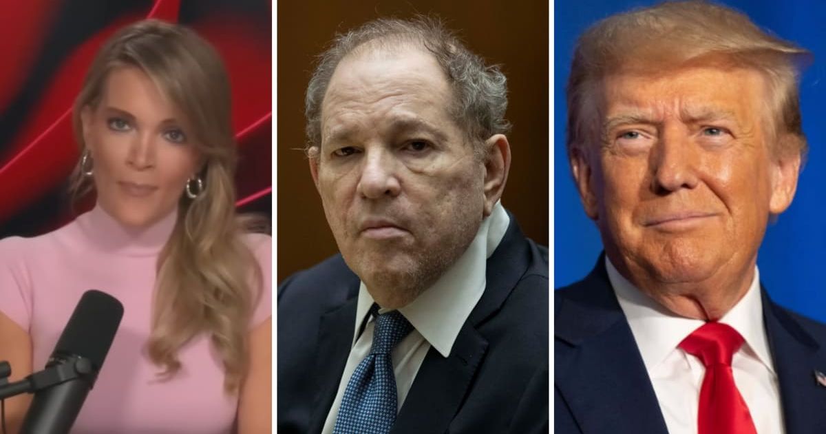 Megyn Kelly hailed as she accuses NBC of playing 'moral arbiter' and condemning Trump but spiking Harvey Weinstein story