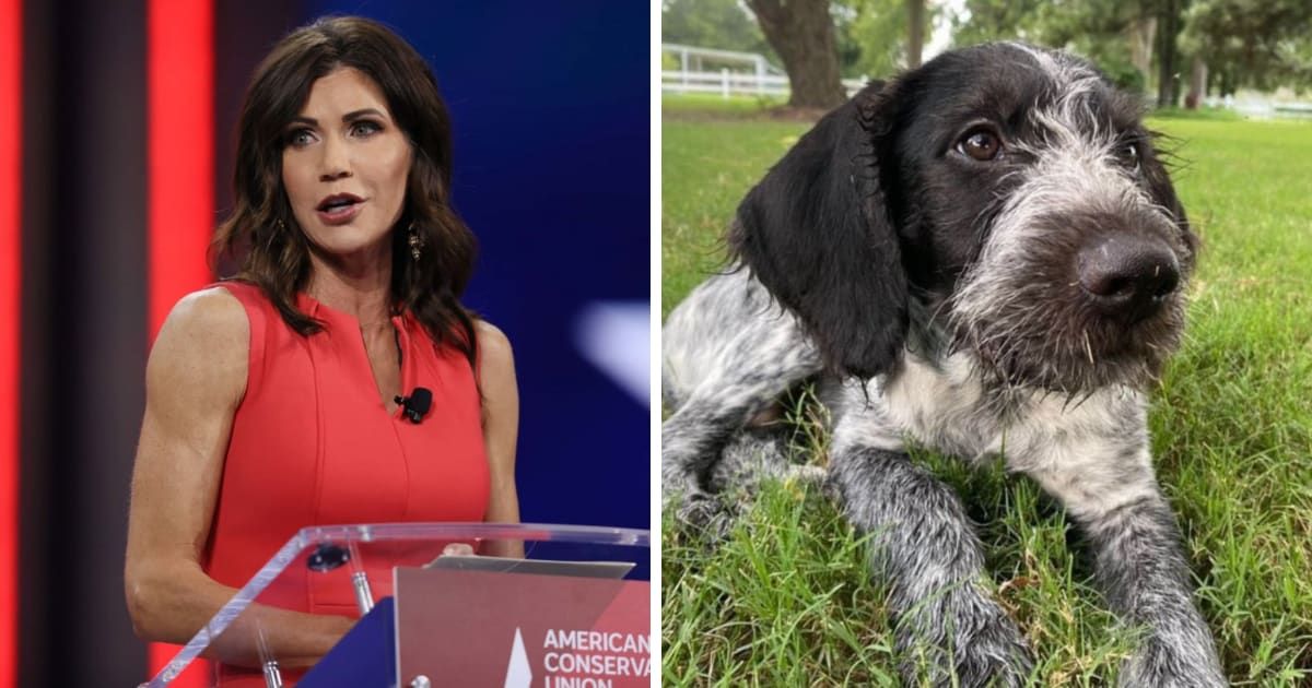 Kristi Noem admitted to killing her 14-month-old dog Cricket (Getty Images, Annie For Truth/X)
