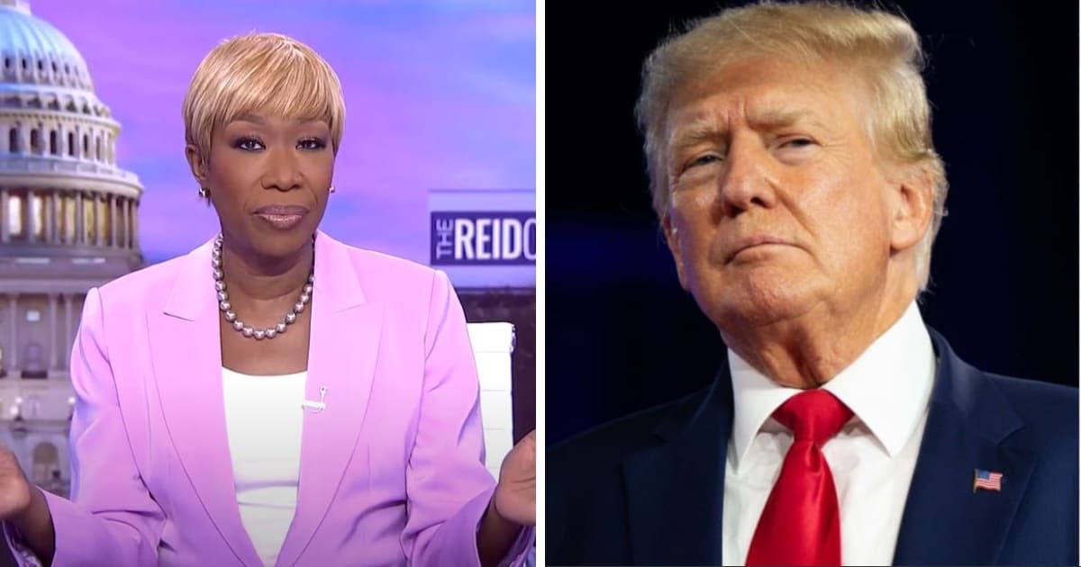 Joy Reid revealed that she carries indictments against Donald Trump wherever she goes (Getty)