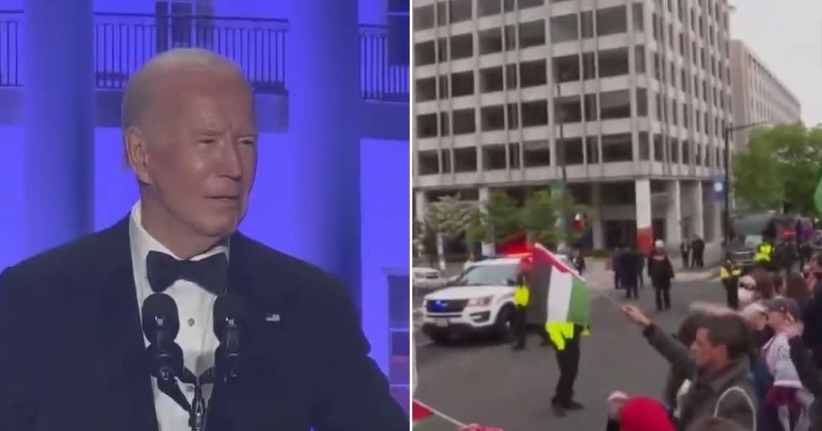 ‘Biting hands that feed them’: Internet divided as anti-Israel agitators flood DC streets targeting White House Correspondents' Dinner