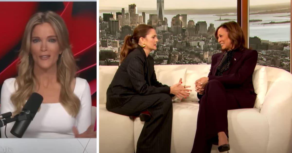 Megyn Kelly critiqued Kamala Harris' recent appearance on 'The Drew Barrymore Show,' citing a lack of substance and authenticity (Megyn Kelly, The Drew Barrymore Show/YouTube)