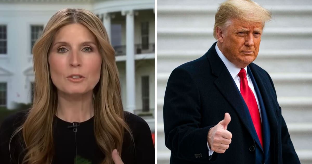 Nicolle Wallace, a prominent MSNBC host, recently expressed concern over the uncertain future of press freedom should Trump win the upcoming election (MSNBC/Getty Images)