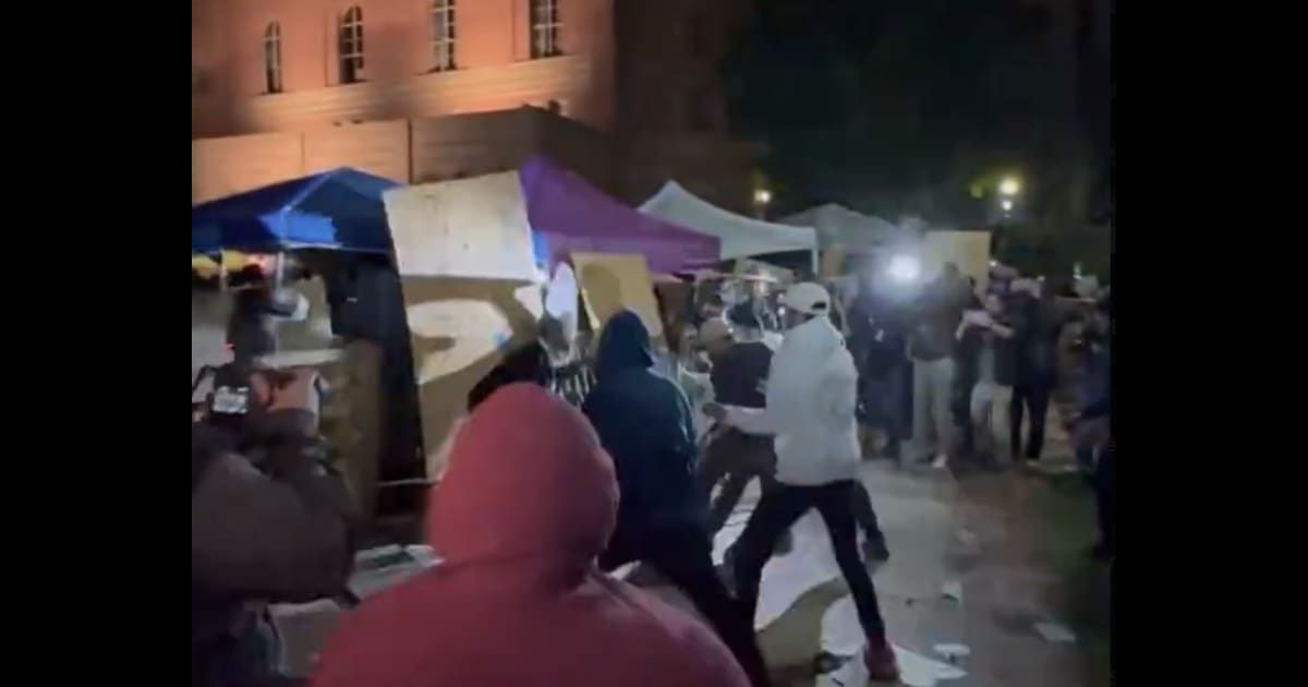 'Get nothing except ticket to jail': Internet blasts anti-Israel UCLA demonstraters for demanding shields and helmets as protests turn violent