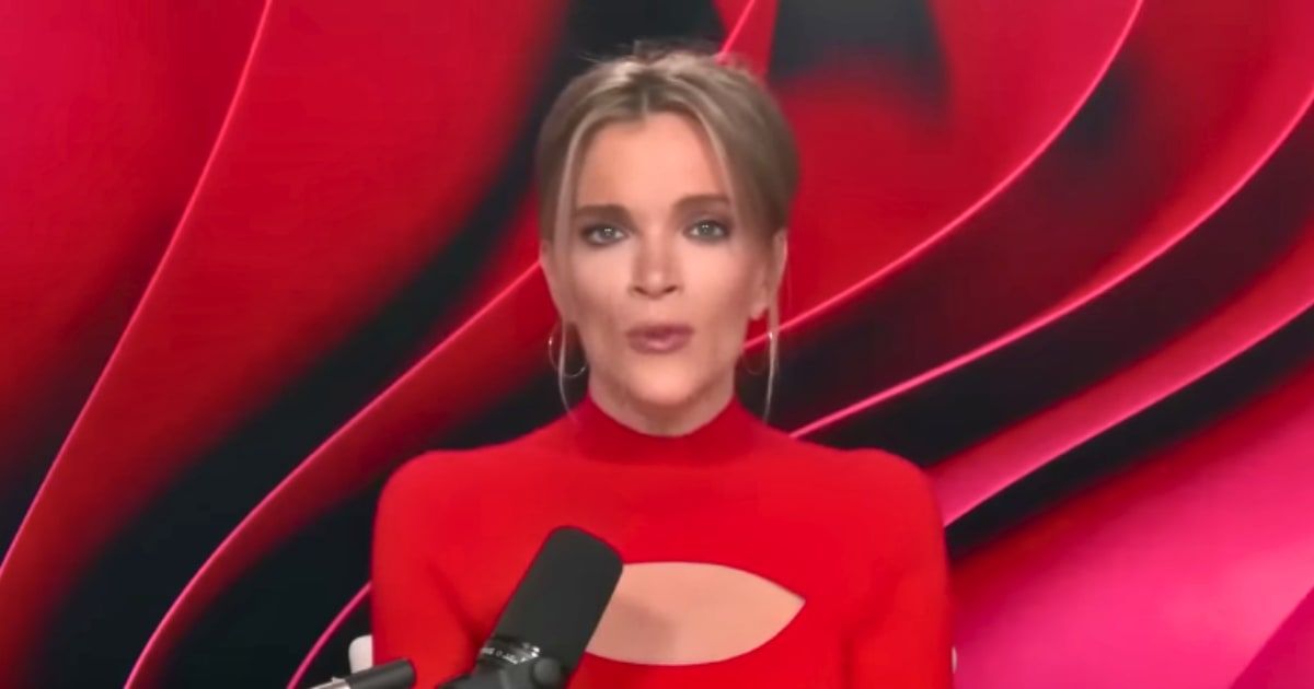 Megyn Kelly wondered why the protesters are coming up short in the 'looks' department (Getty Images)