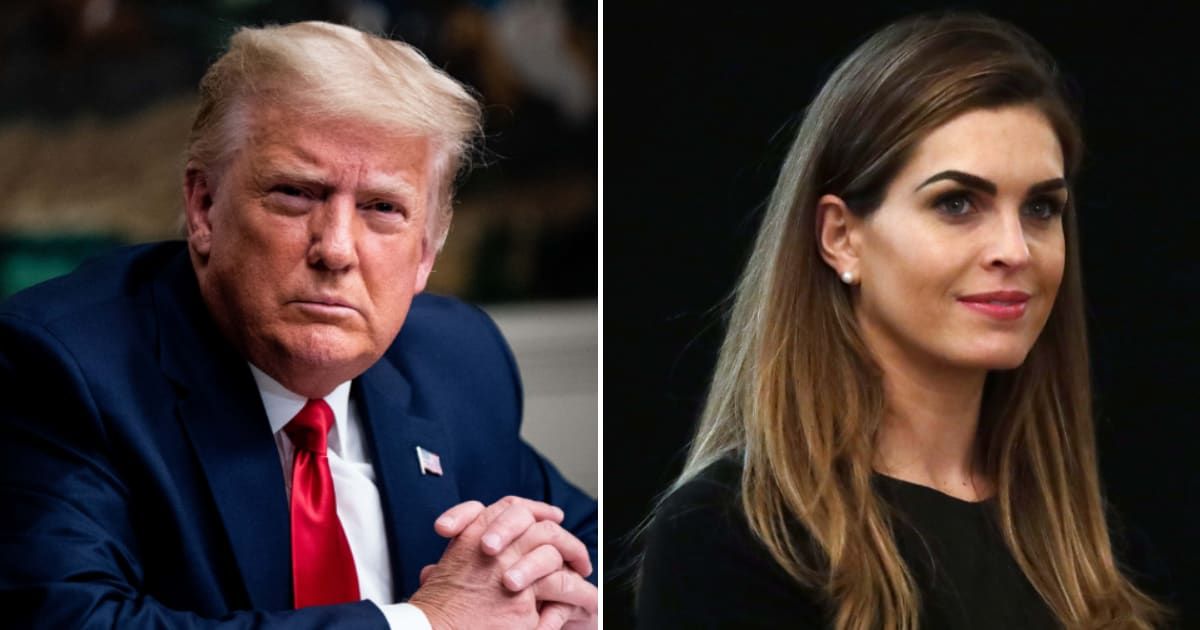 Norm Eisen reports that Donald Trump fell asleep when former White House aide Hope Hicks testified under oath (Getty Images)