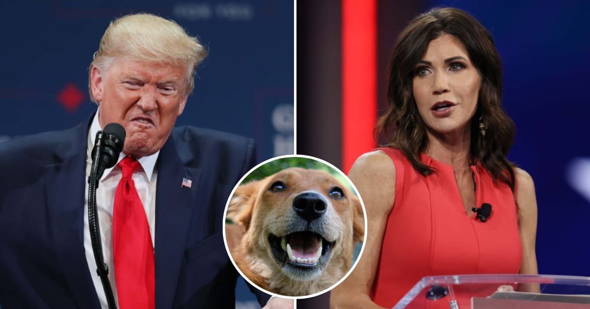 Sources have reported that Donald Trump discussed over and over about South Dakota Governor Kristi Noem's dog-killing story (Getty Images)