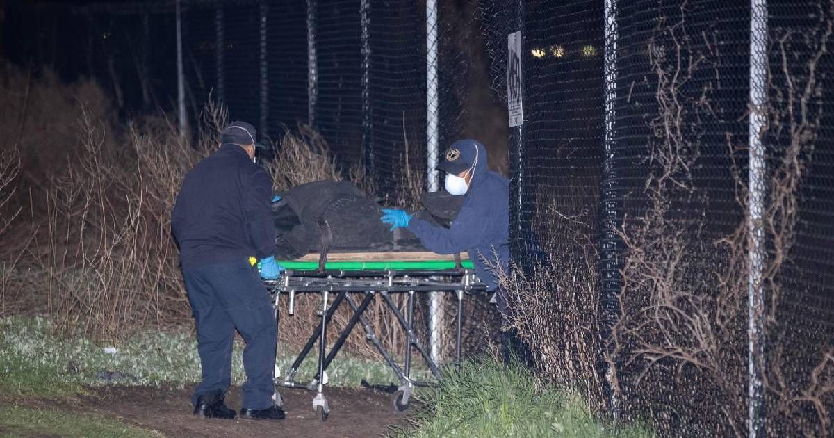 A human head was found floating in New York City's Jamaica Bay (ABC 7 News/Screengrab)