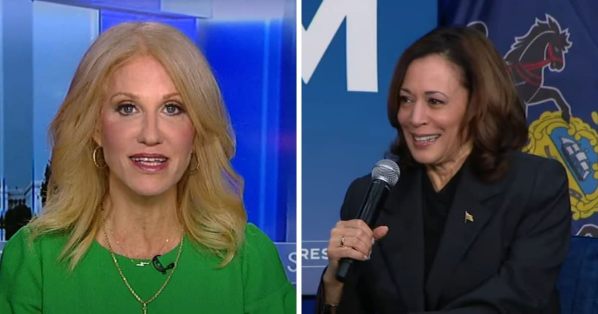 Kellyanne Conway criticized Vice President Kamala Harris on a Fox News show (Fox News/YouTube)