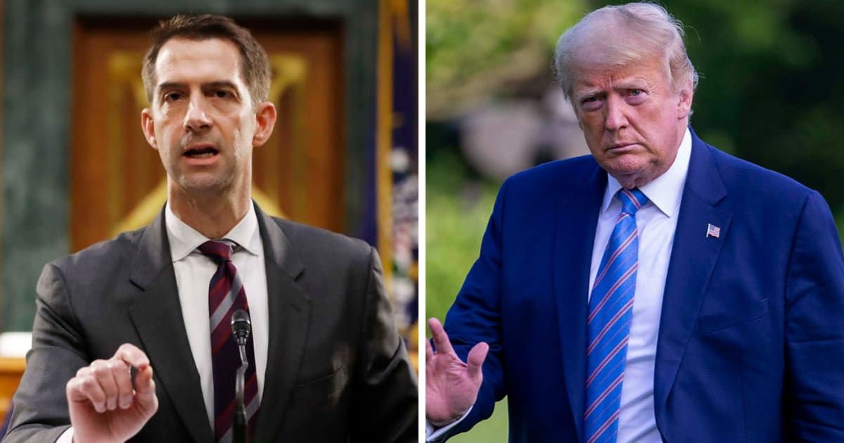 Sen Tom Cotton claimed Donald Trump would not have allowed Israel-Gaza war to drag on for months on Sunday, May 12, 2024 (Getty Images)