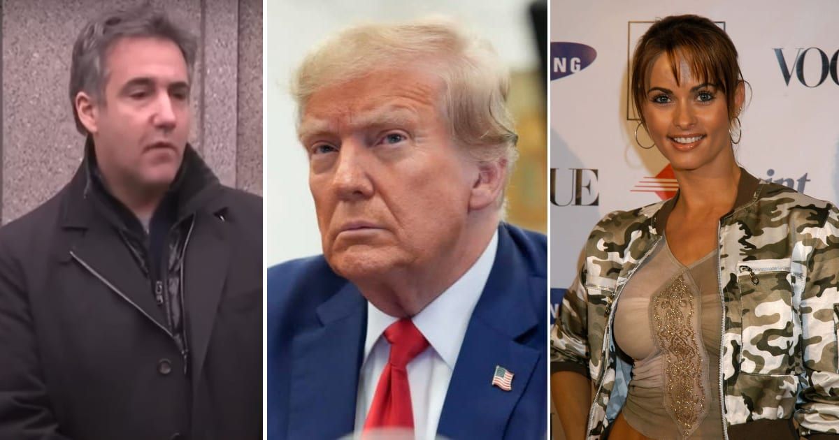 Micheal Cohen revealed the deal to silence Karen McDougal's story in Donald Trump's criminal hush money trial (CBC/YouTube, Getty Images)