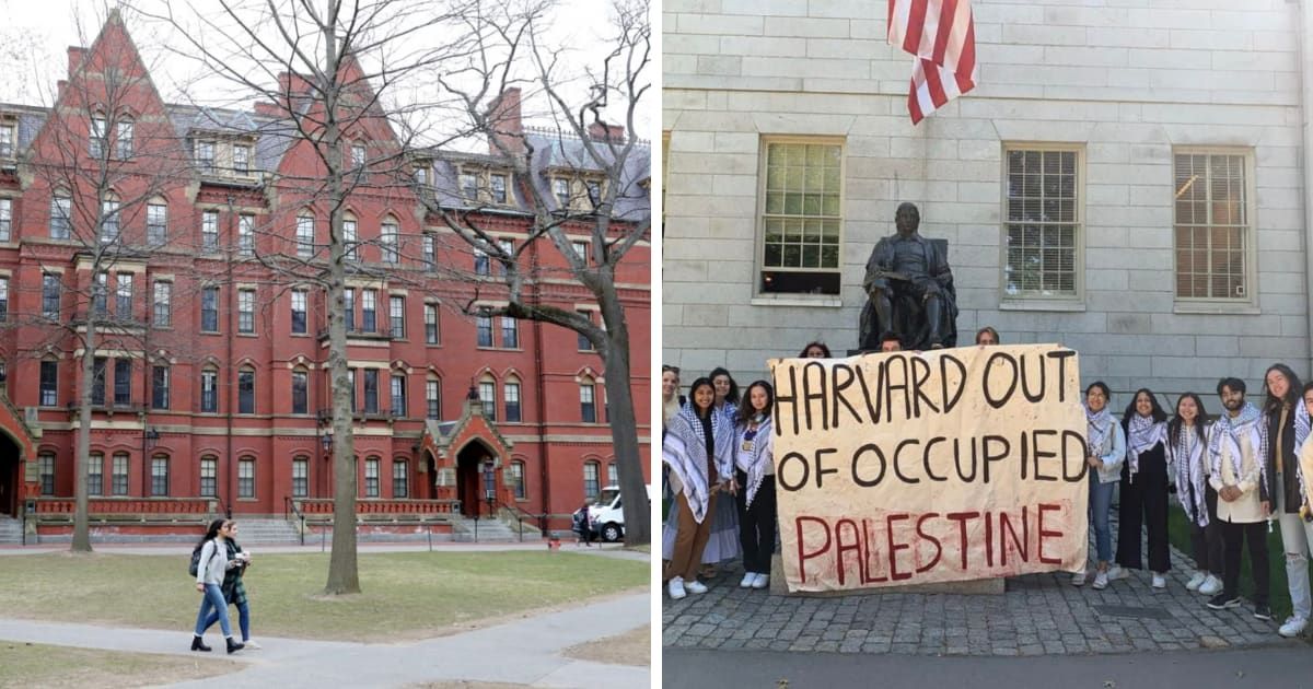 A Harvard spokesperson said the agreement reinstated students suspended during the pro-Palestinian demonstrations (Getty Images, Harvard University PSC)