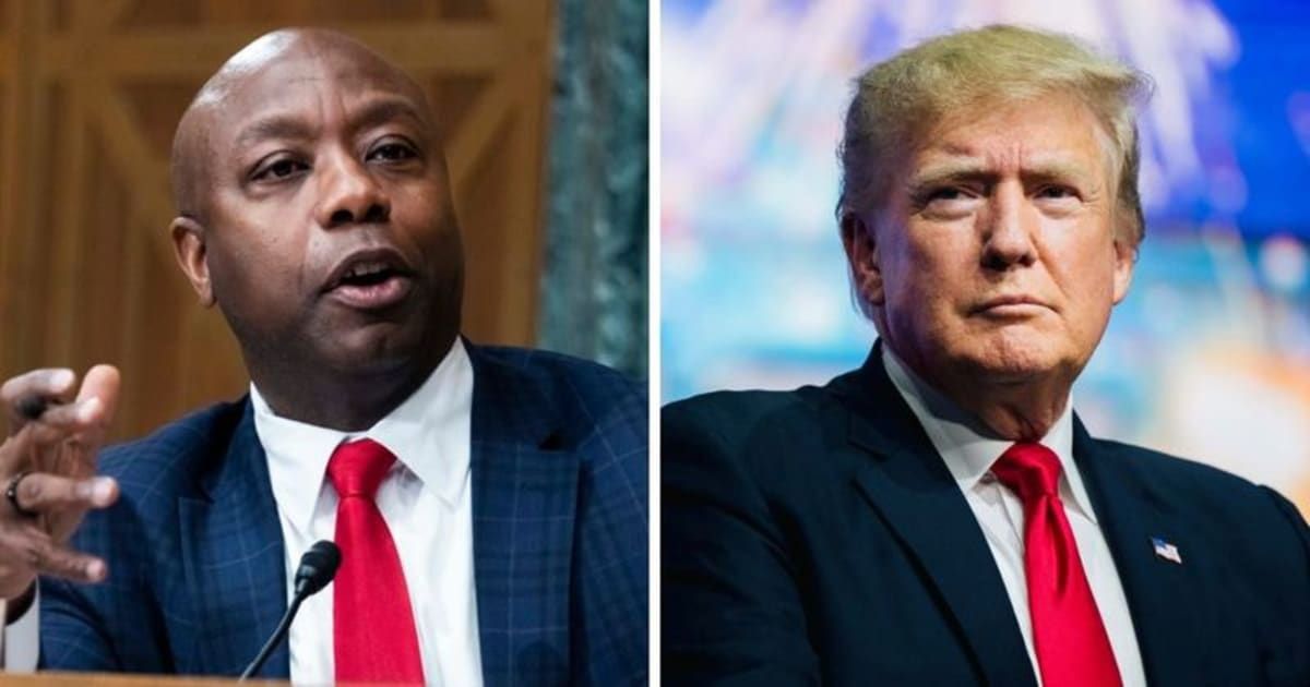 Senator Tim Scott is a staunch supporter of Donald Trump (Getty Images)