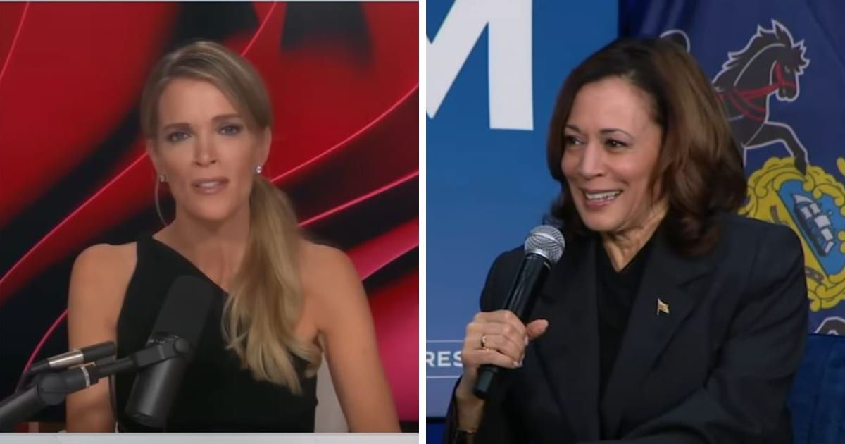 Megyn Kelly recently criticized Vice President Kamala Harris for urging young leaders to overcome obstacles by 'kicking down the doors' (Megyn Kelly)