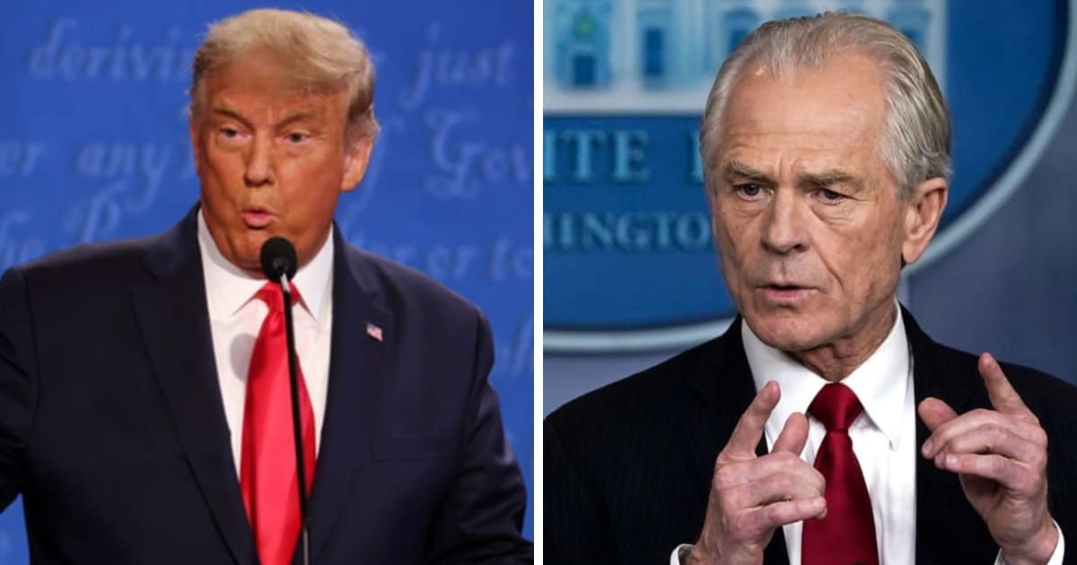 Donald Trump hinted at the possibility of pardoning Navarro and giving him a job should he return to office (Getty Images)