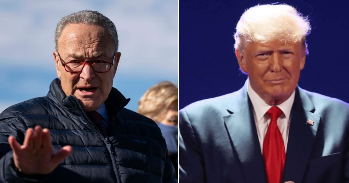 Chuck Schumer has slammed Donald Trump for spreading 'outlandish' claims that his political opponents are planning to assassinate him (Getty Images)