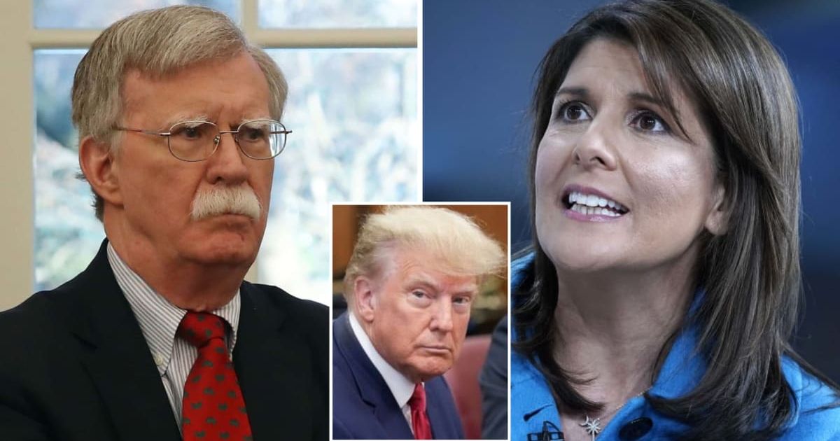 John Bolton implies that Nikki Haley's support for Donald Trump is politically calculated (Getty Images)