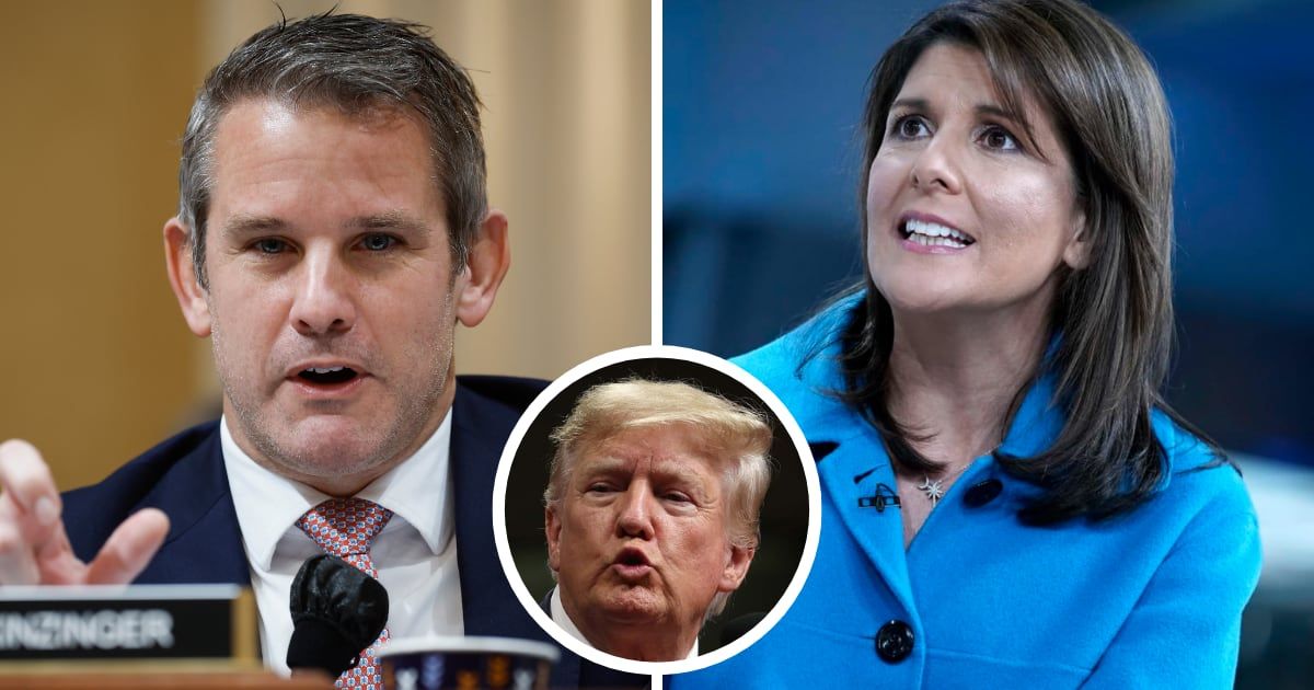 Adam Kinzinger's recent jab at Nikki Haley for supporting Trump reignited the long-standing feud between the two Republican figures (Chip Somodevilla/Getty Images)