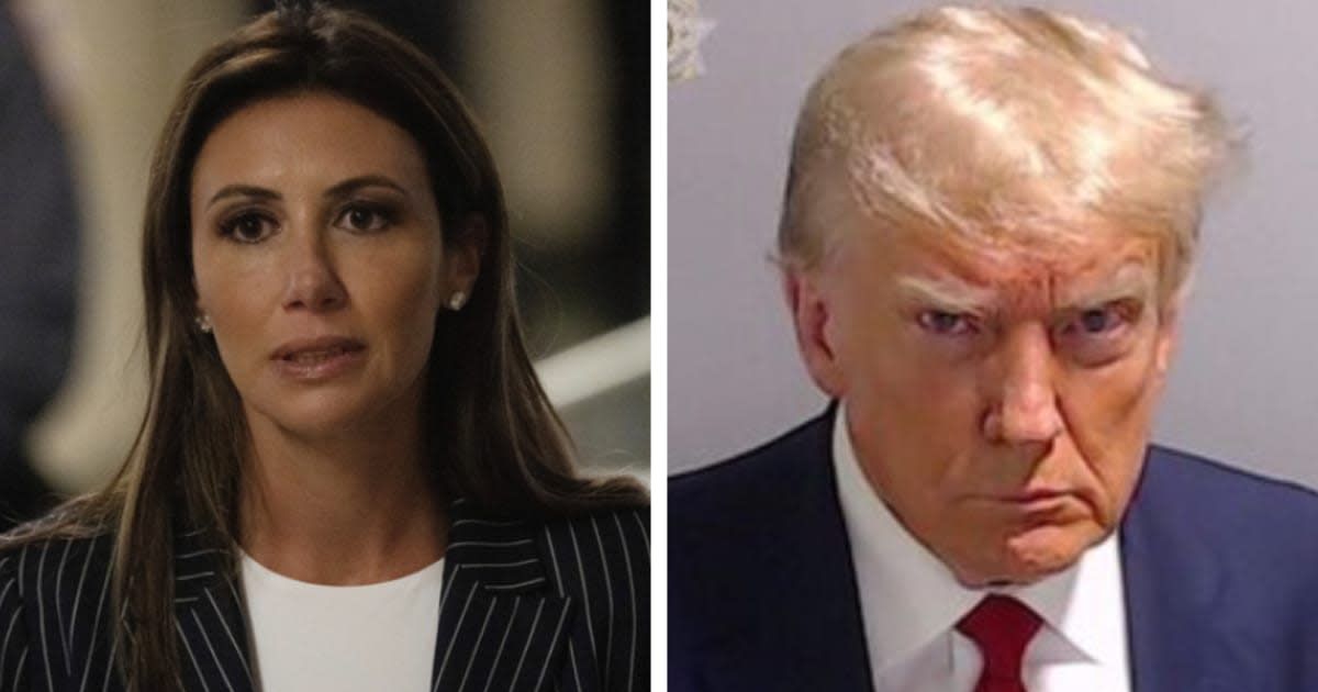 Donald Trump's attorney Alina Habba claims 'no one is above the law' is a 'stupid little catchphrase' (Fulton County Sheriff's Office/Getty Images)