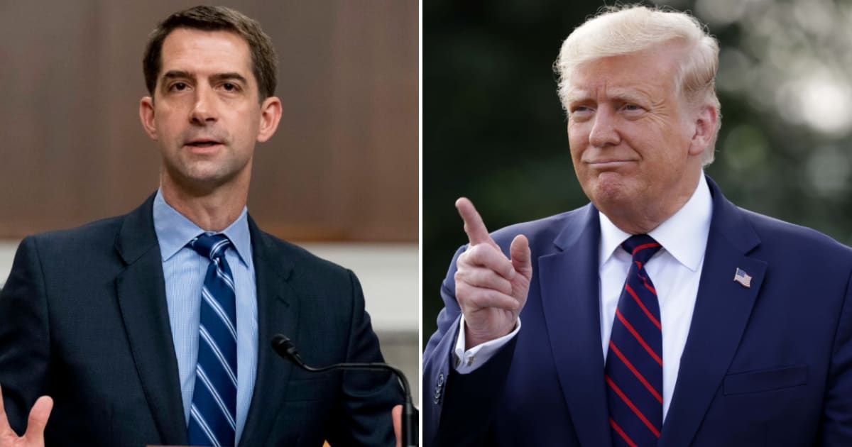 Donald Trump is reportedly considering Senator Tom Cotton to be his 2024 vice-presidential pick (Getty Images)