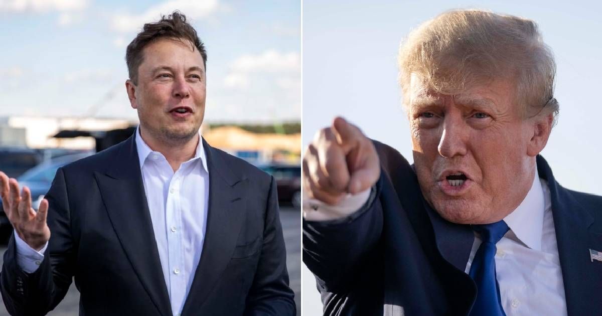 Elon Musk and former President Trump have discussed the economy and border security policies (Getty Images)