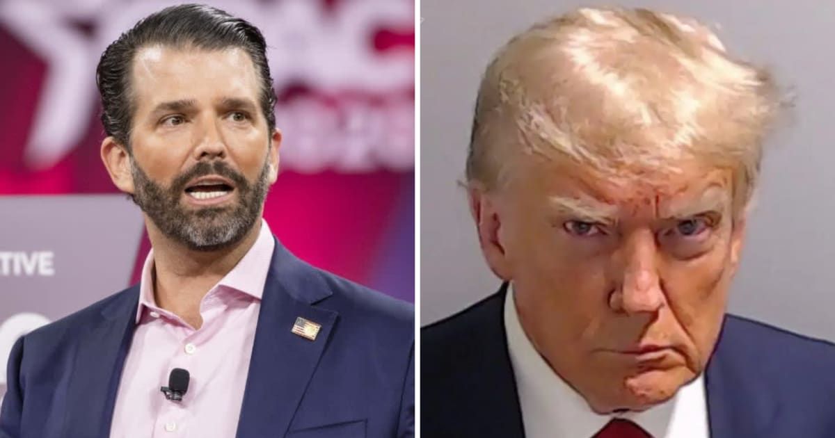 Donald Trump Jr accused Democrats have turning the US into a 'third world s**thole' after his father's 'hush money' guilty verdict (Fulton County Sheriff's Office/Getty Images)