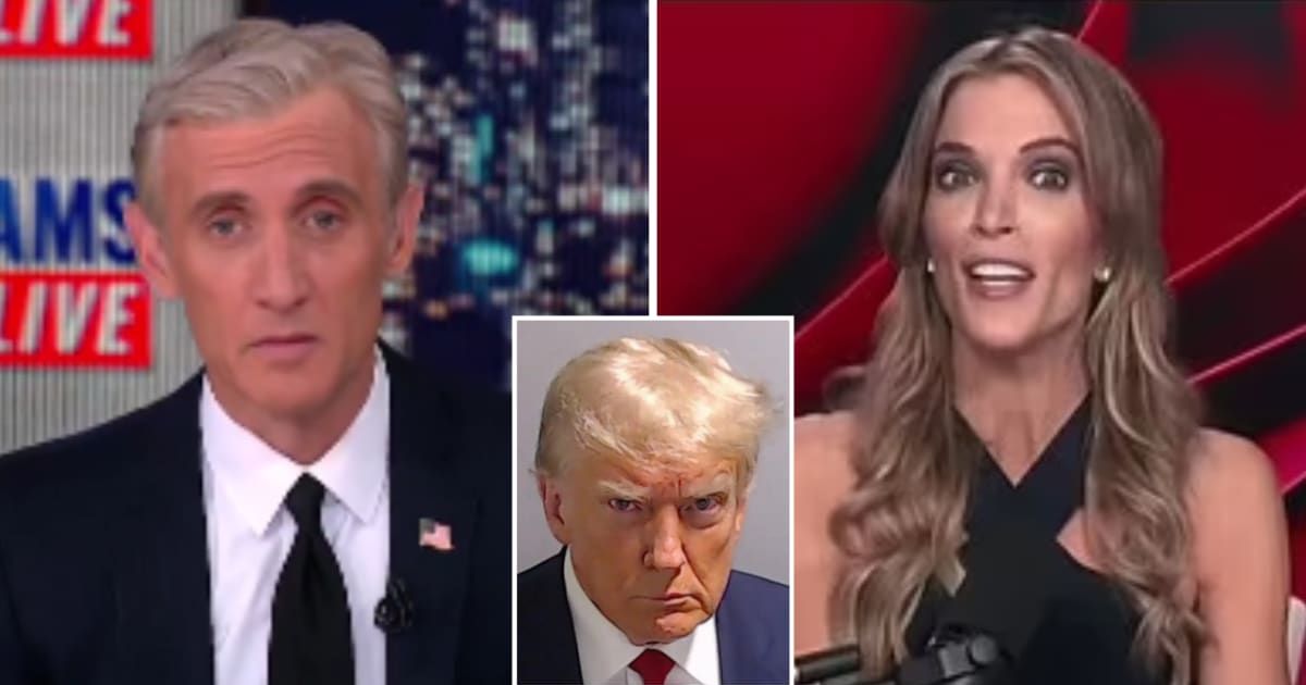 'You got spanked!' Internet sides with Megyn Kelly in fiery clash with Dan Abrams over Trump's conviction