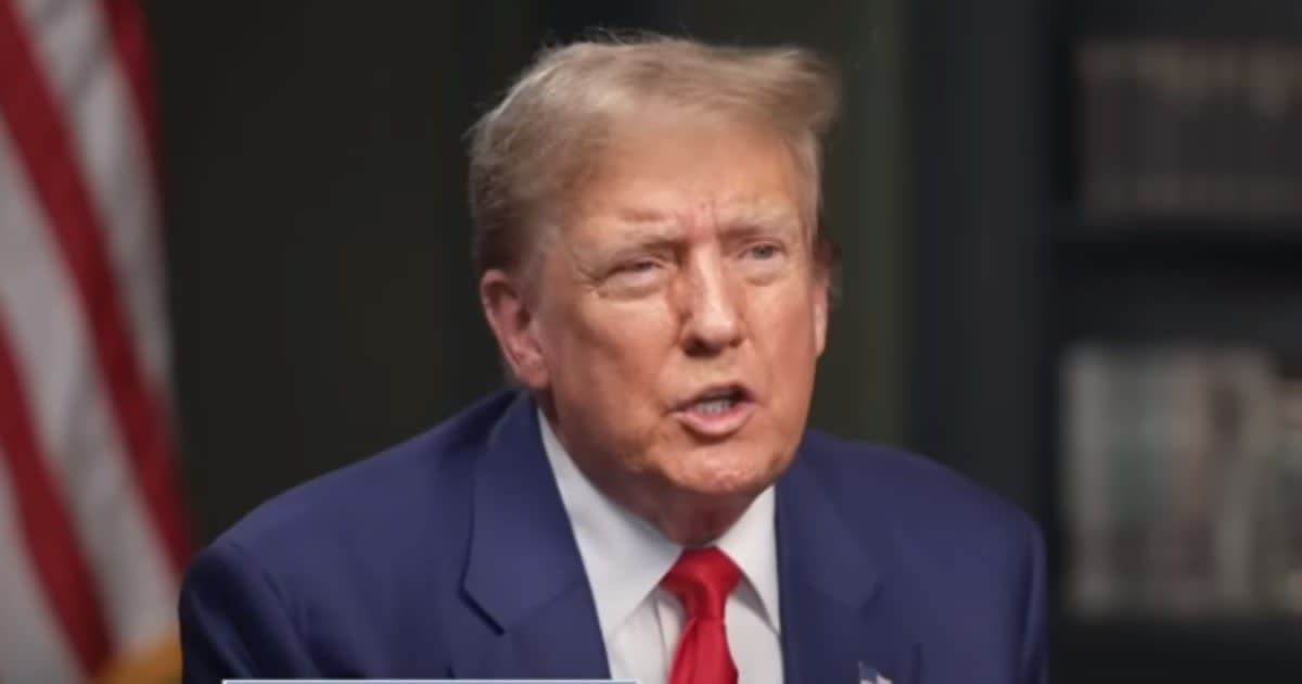 Donald Trump said his conviction in hush money trial is 'weaponization' (Screengrab/Fox News)