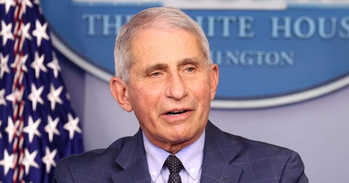 Dr Anthony Fauci, former Director of the National Institute of Allergy and Infectious Diseases testified at house subcommittee hearing on Covid-19 (Getty Images)