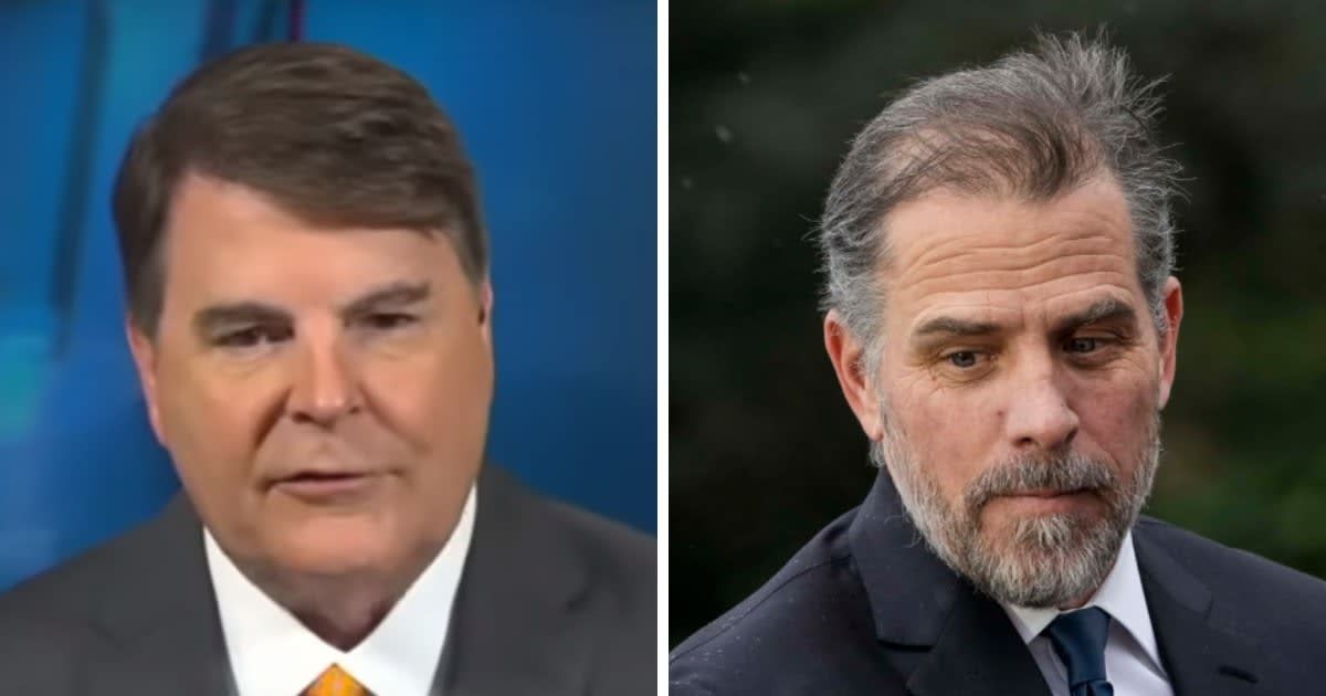 Gregg Jarrett says Hunter Biden incriminated himself in the federal gun case (Screengrab/Fox News, Getty Images)