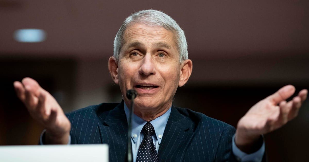 Dr Anthony Fauci, the former Director of the National Institute of Allergy and Infectious Diseases testified before the House Oversight Select Subcommittee on the Coronavirus Pandemic on Monday (Getty Images)