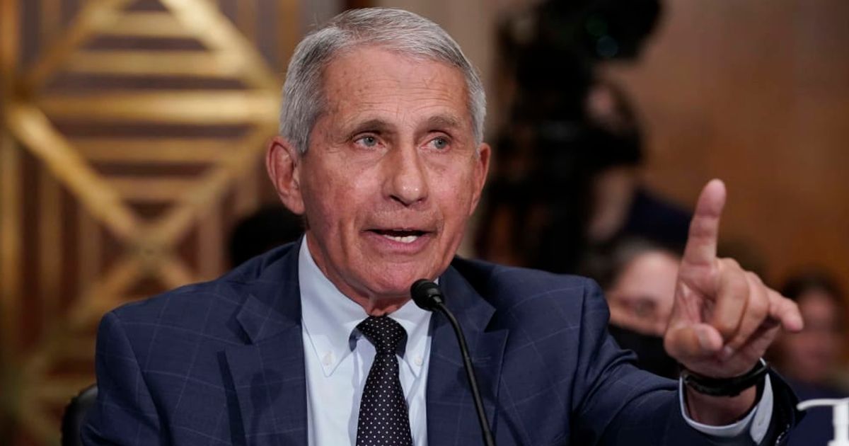 Dr Anthony Fauci testified on Monday, June 3, at a House subcommittee hearing about the US response to the Covid-19 pandemic and the origins of the virus (Getty Images)