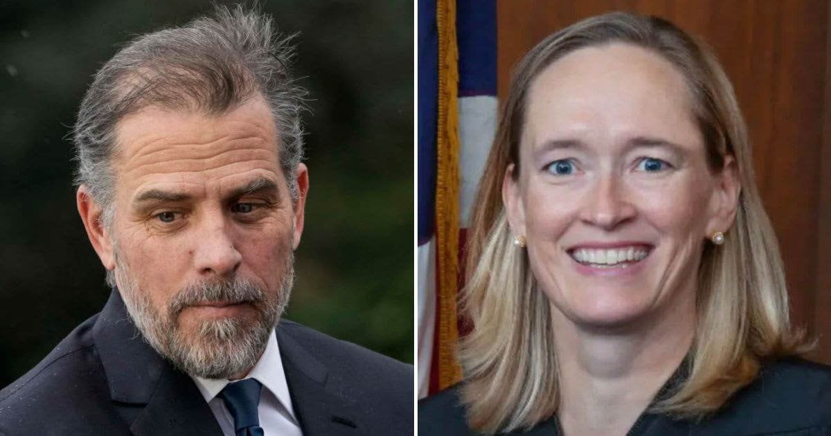 Delaware Judge Maryellen Noreika said Hunter Biden was trying to push a 'conspiracy theory' into his federal gun trial (Getty Images, US District Court for the District of Delaware)
