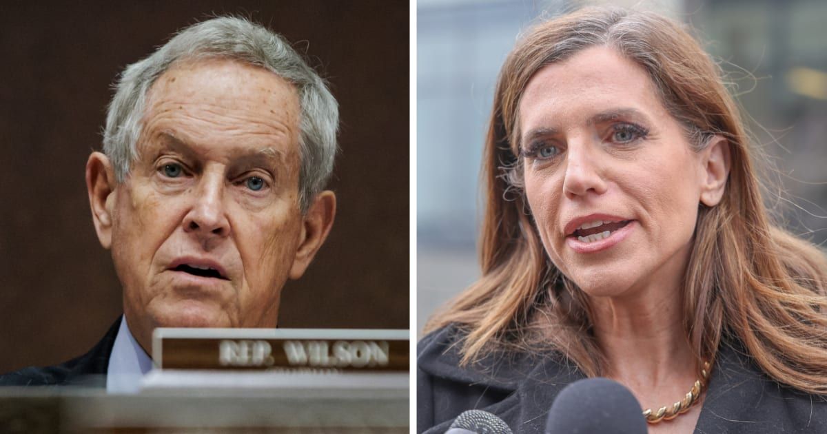 Reps Joe Wilson and Nancy Mace were seen engaging in what appeared to be a brief but heated exchange during House votes (Getty Images)