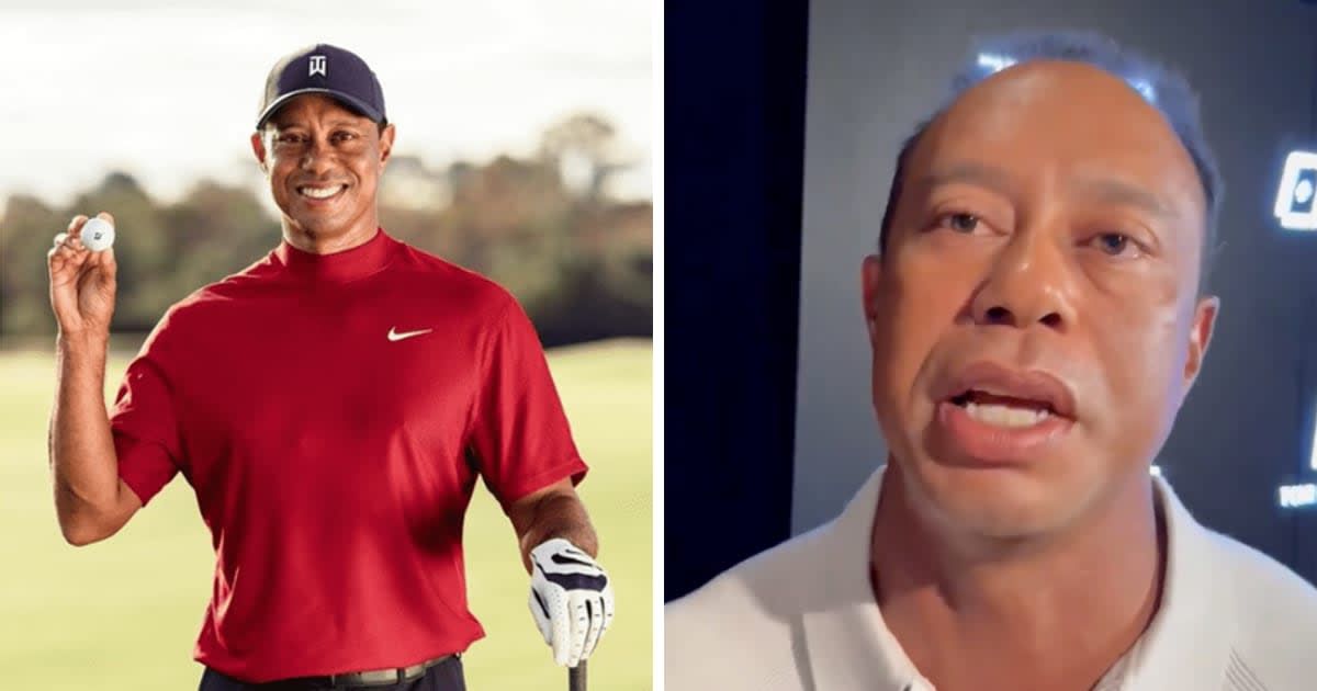 Golf legend Tiger Woods looked 'sauced' in his TGR Foundation video, per fans (@tigerwoods/Instagram, Phil Hellmuth/X)