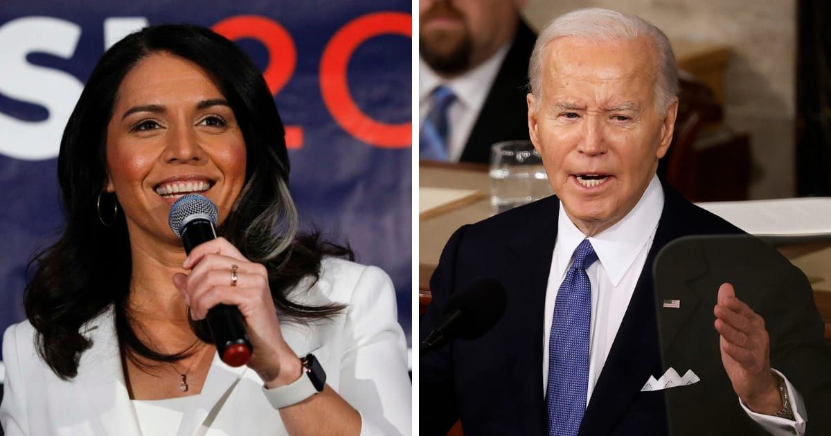 Tulsi Gabbard said people are right to be concerned about President Biden's age and ability to handle issues like the economy, the border and foreign policy (Getty Images)