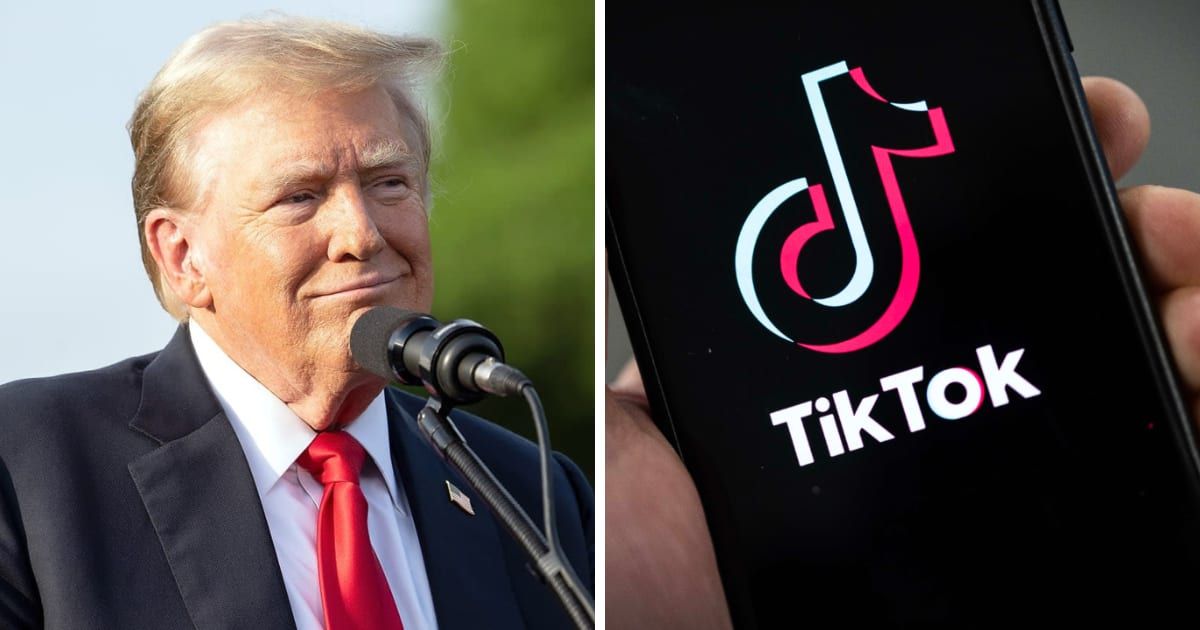Donald Trump promised to never ban TikTok if elected in November (Steven Ferdman/GC Images, Getty Images)