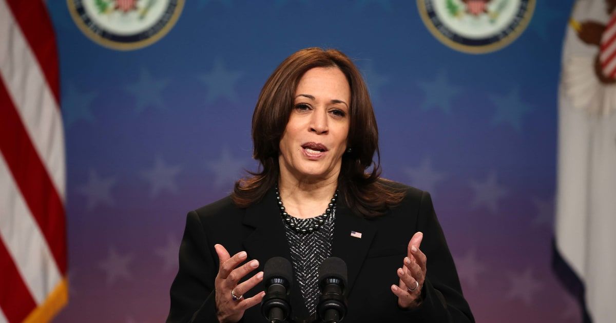 Kamala Harris sternly asked an anti-Israel protester to let her speak during a fundraiser in Michigan (Getty Images)