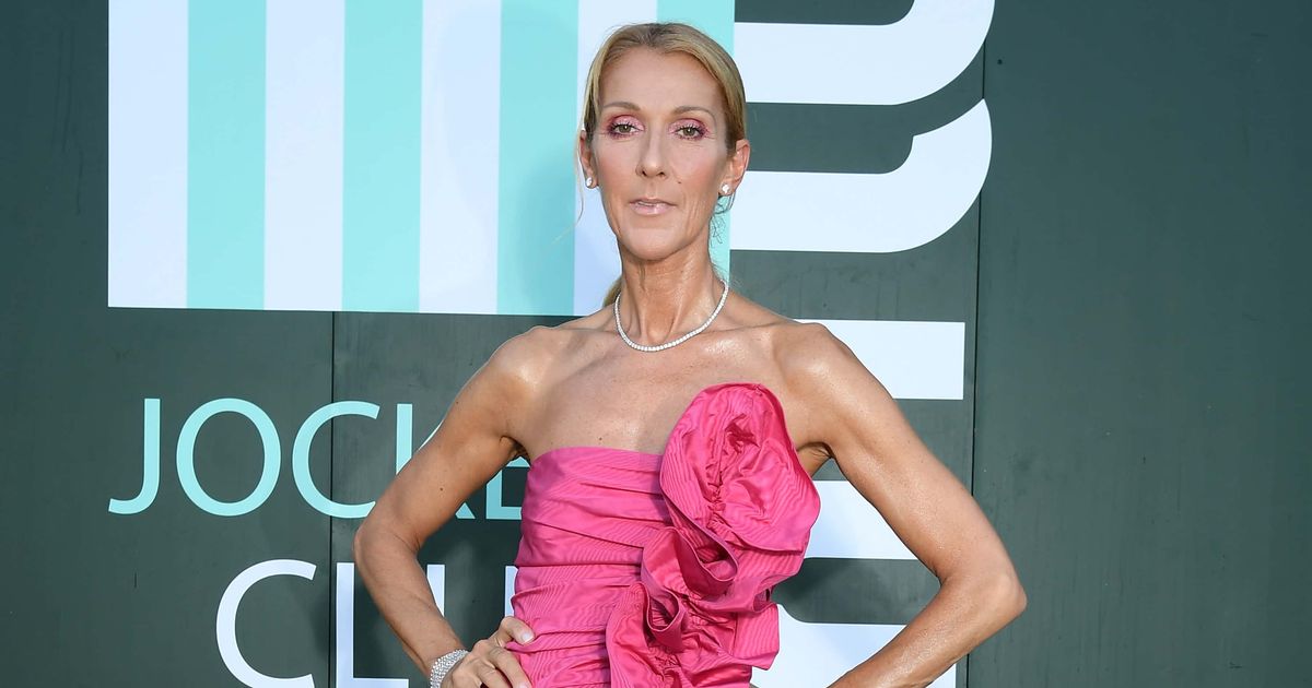 Celine Dion has kept a low profile after revealing her battle with stiff person syndrome (Getty Images)