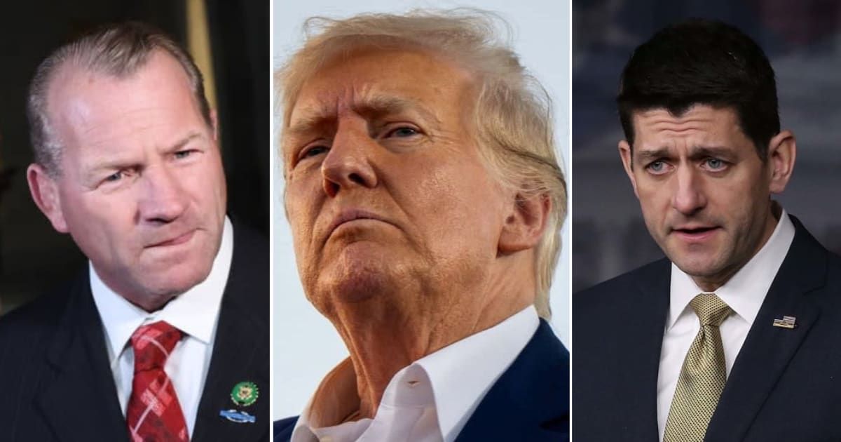 Rep Troy Nehls said ex-Speaker Paul Ryan should be thrown out from the Republican Party for his anti-Trump remarks (Getty Images)