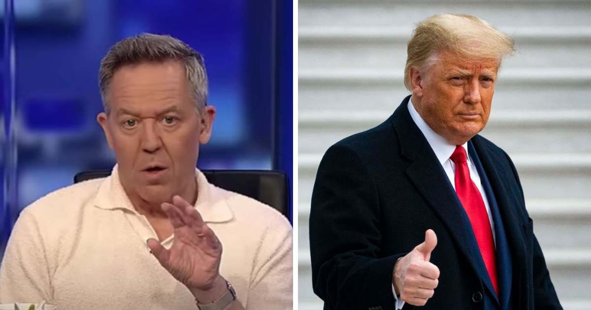 Greg Gutfeld asserted that only Donald Trump's victory would ensure the electorate's confidence in the outcome (Foxnews/Getty Images)