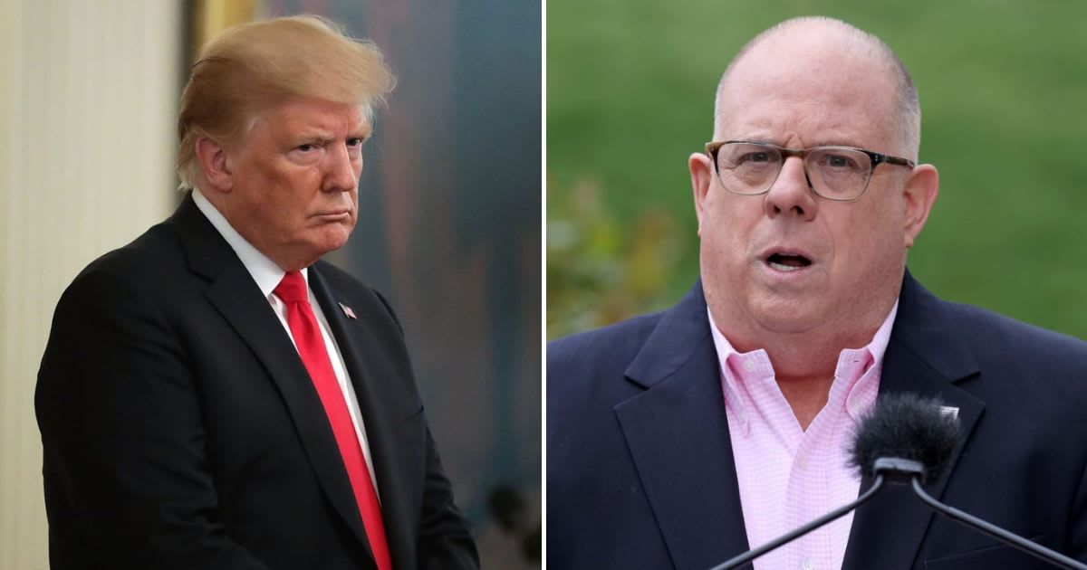 Former President Donald Trump endorsed former Maryland Governor Larry Hogan in the crucial blue-state Senate race come November (Getty Images)