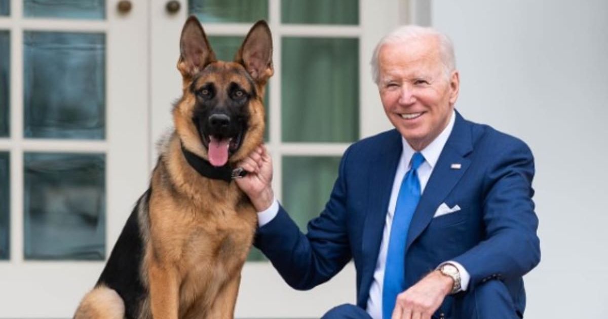 President Joe Biden reportedly watched his dogs attack Secret Service agents and rip holes in their suits (potus/Instagram)