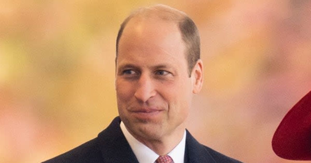 Prince William wins hearts with 'majestic’ photo of him en route to Cardiff as he takes over royal duties