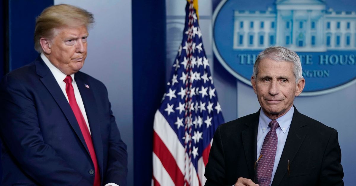 Dr Anthony Fauci worked with Donald Trump to combat the Covid pandemic (Getty Images)