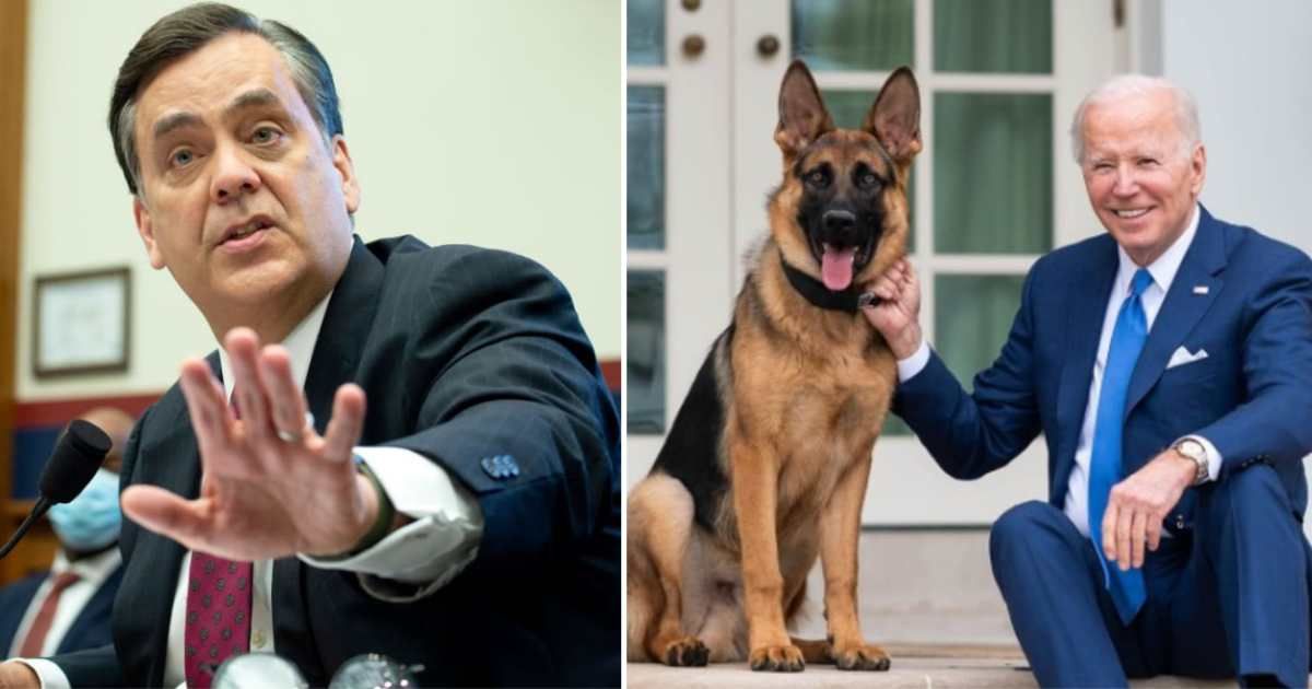  Jonathan Turley claimed the Biden family would've faced lawsuits over dog attacks ‘if this were any other family’ (Getty Images, @potus/Instagram)
