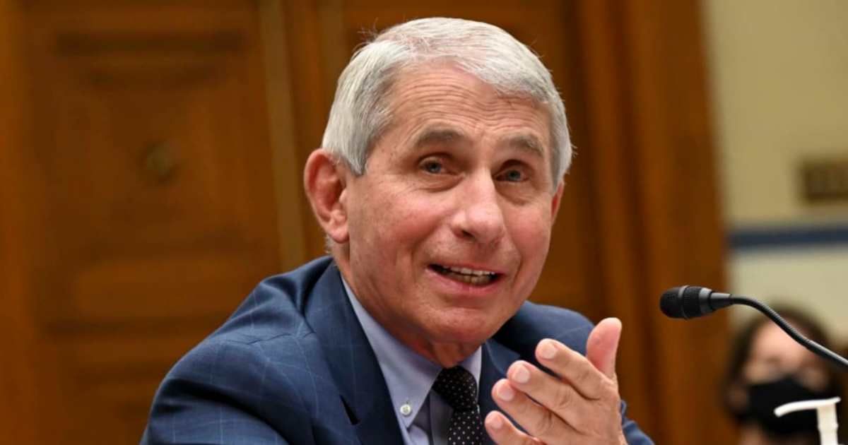 Dr Anthony Fauci said he refused high-paying private sector jobs because his public health job was 'priceless' (Getty Images)