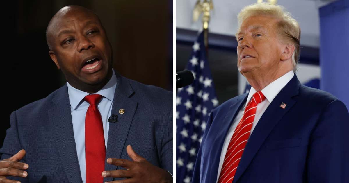 Sen Tim Scott maintained his decision to decision to certify Donald Trump's 2020 election loss (Justin Sullivan, Anna Moneymaker/Getty Images)