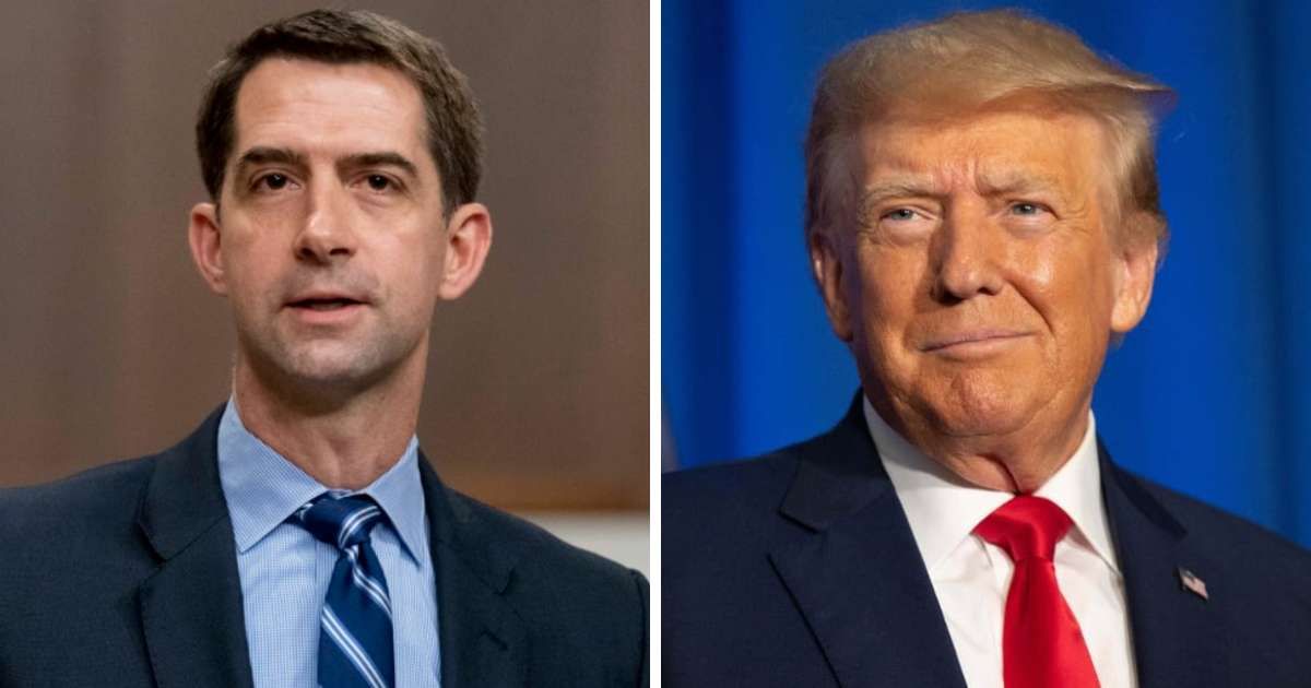 (L-R) Tom Cotton's comments come amid increasing speculation about who Donald Trump will choose as his running mate for the 2024 election (Getty Images)